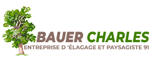 elagage-bauer-charles